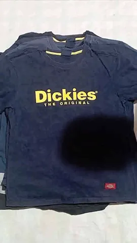 Dickies T-Shirts 20 pieces